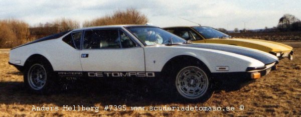 Photo on De Tomaso Pantera GR3 #7395.